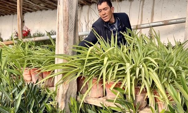 【新疆】不断壮大的集体经济让农民捧牢“金饭碗”——南疆乡村振兴一线观察