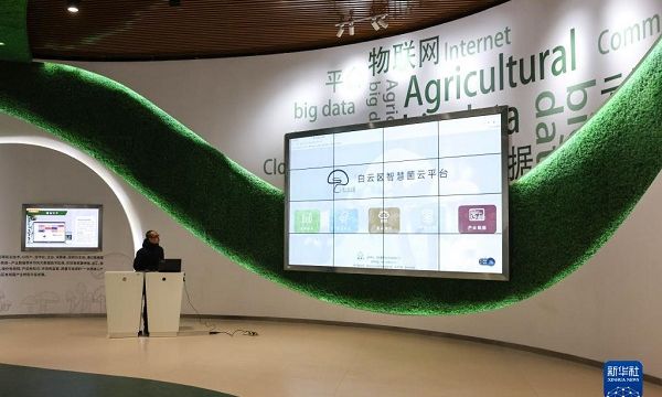 网跨千年，村中有“数”——“数字乡村”赋能西部发展观察