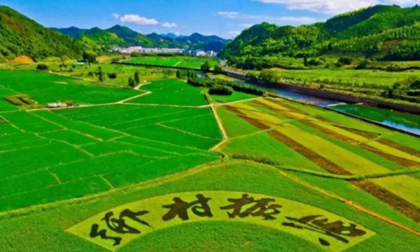 济宁金乡县羊山镇：乡村振兴谱新篇，击鼓催征正当时 